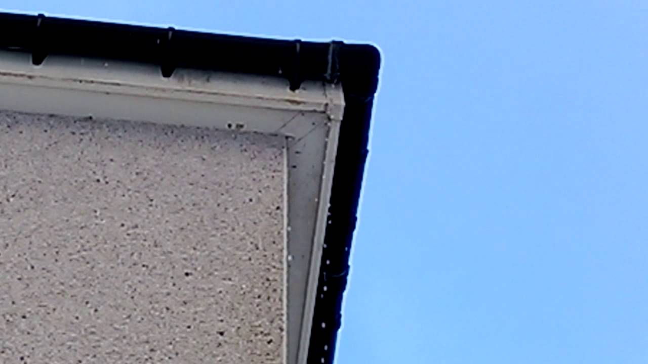 So What If My Gutter Is Leaking